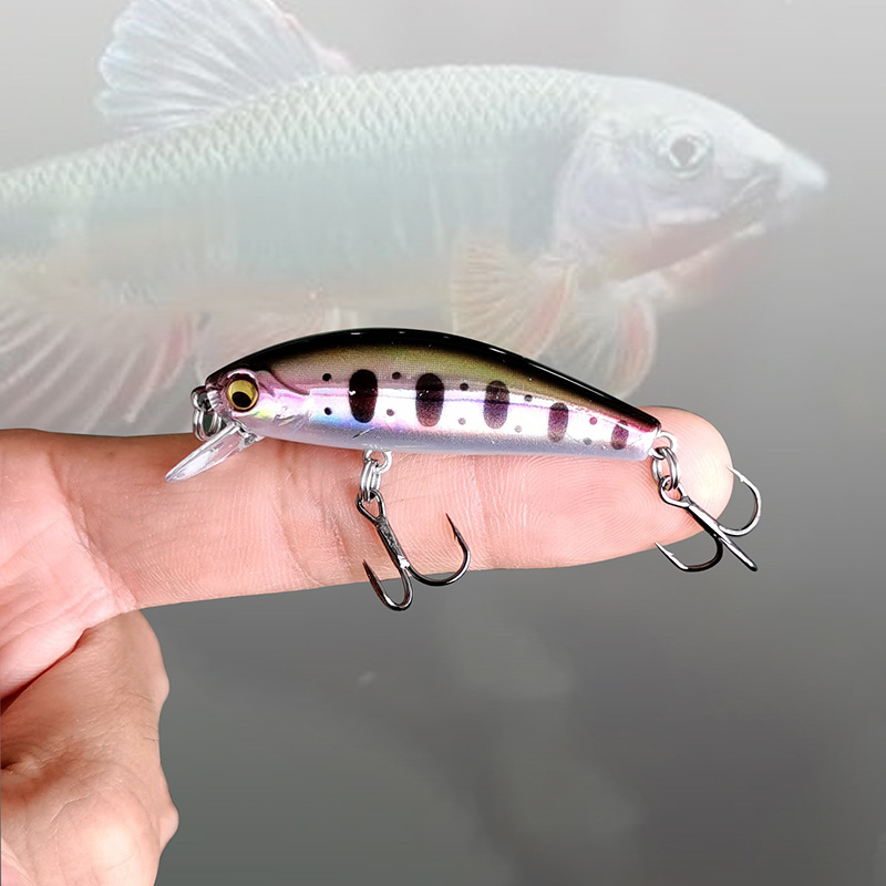 Small Minnow Lures Hard Baits Bass Trout Bowfin Fresh Water Fishing Lure