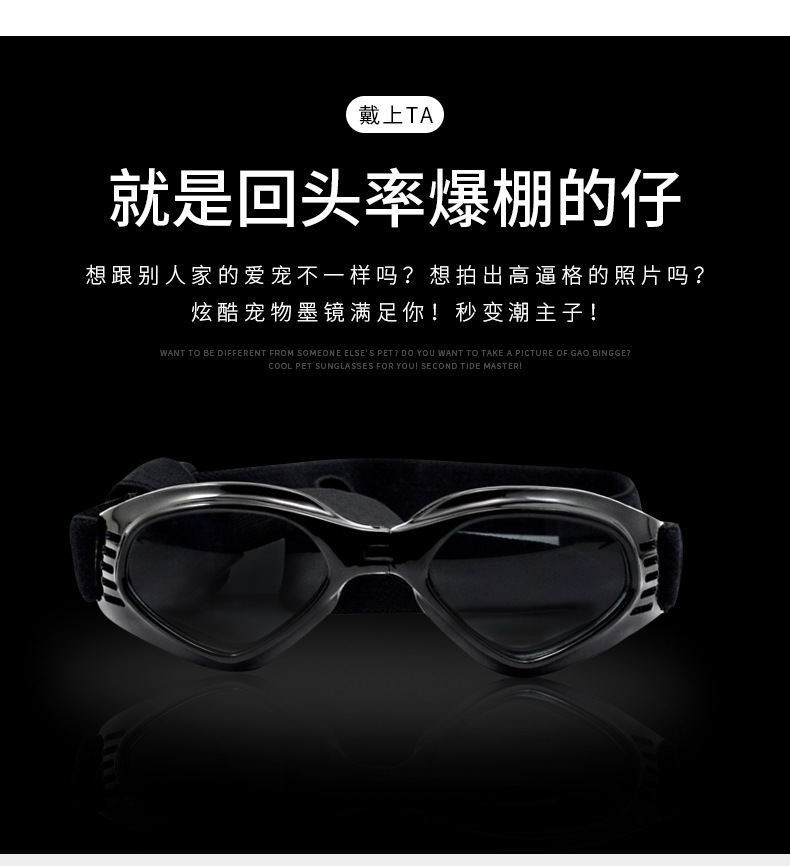 宠物太阳镜