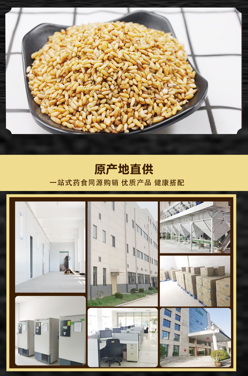 Bai Zi Ren (Platycladus orientalis Seed) — Shelled Arborvitae Seeds, 500g New Crop details