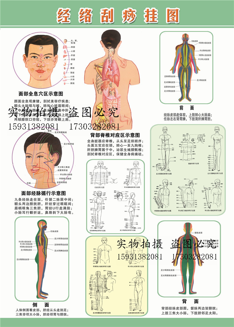 人体经络刮痧挂图 刮痧图 彩色刮痧穴位图人体经络穴位图-阿里巴巴