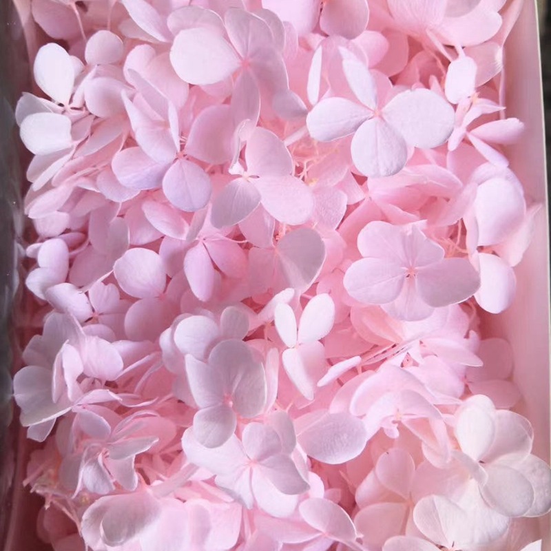 微信图片_20200421181928