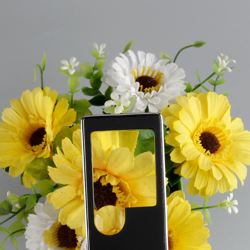 带灯手机式带灯带验钞放大镜，外出携带便携式