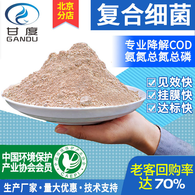 microorganism reunite with strain Biology Degradation anaerobic Biochemical culture Low temperature Bacteria Water Powder