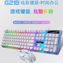 追光豹G21B有線usb發光游戲鍵鼠套裝機械手感七彩背光鍵盤鼠標LOL