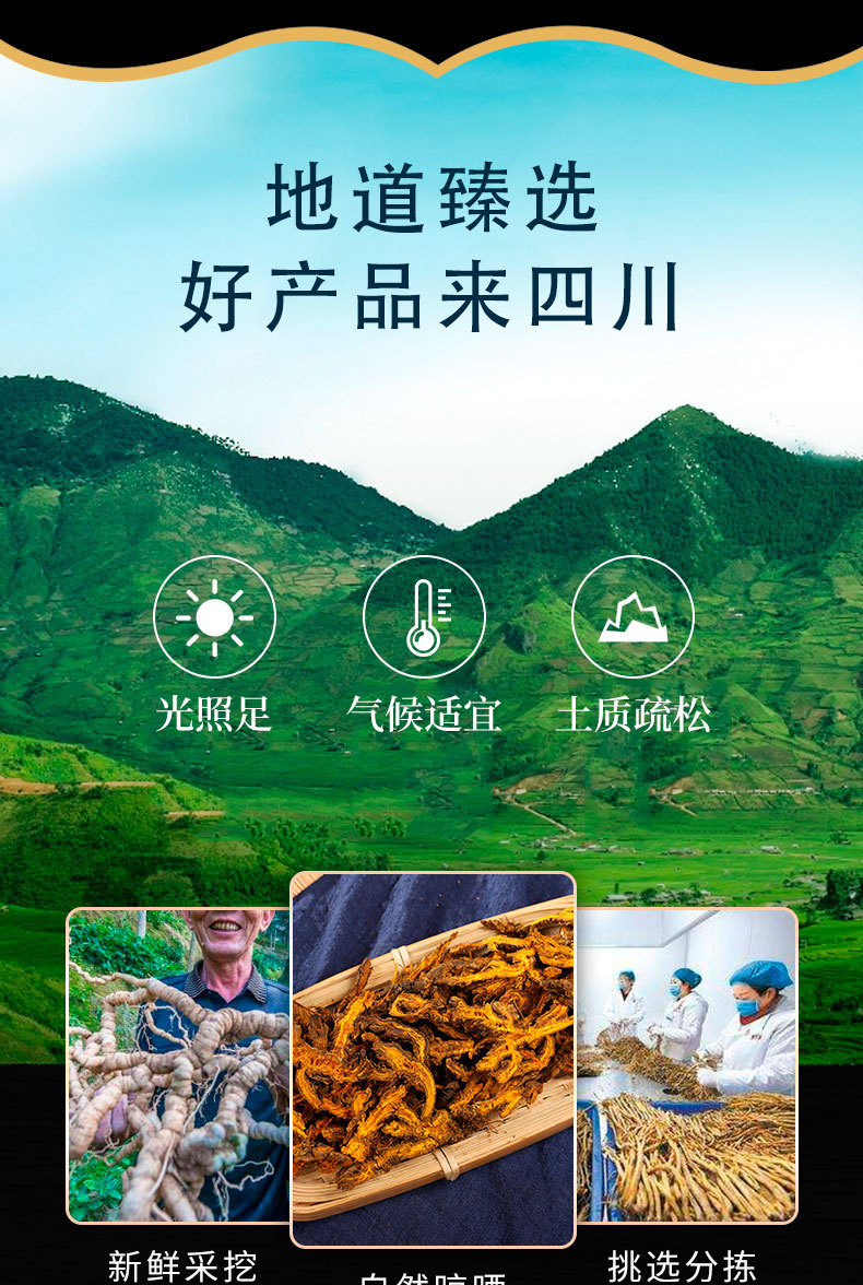 Huang Lian Slices (Coptis chinensis) — Dried Bitter Herb for Cooking & Herbal Use overview
