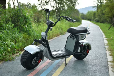 Car Export, Elektrikli motosikletlər