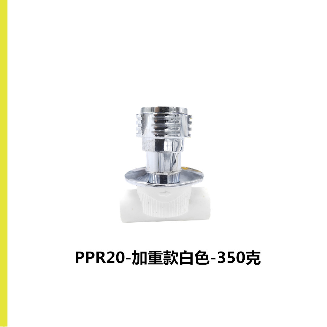 PPR-暗阀20白色