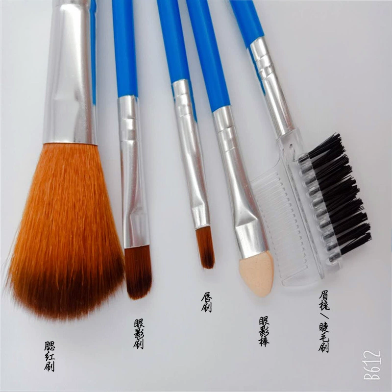 Handheld brush, set, small face blush for eyelashes, 5 pieces, for beginners