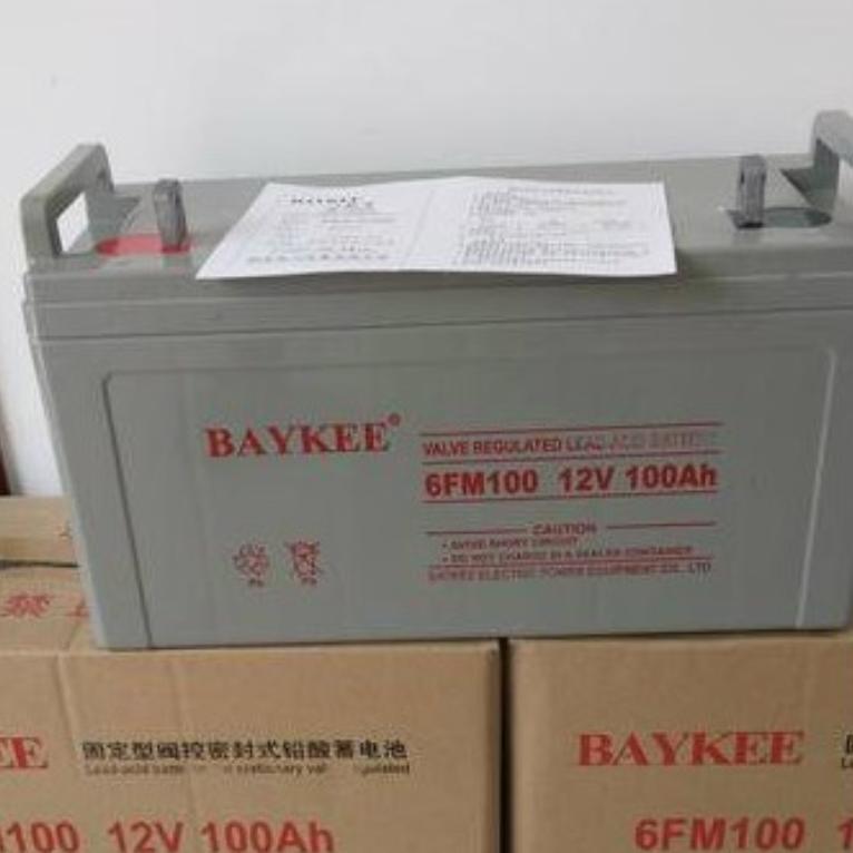 柏克蓄电池12伏6H 柏克蓄电池6FM65 供应UPS电源可用铅酸蓄电池