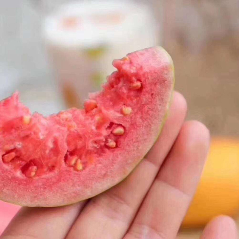 c29ded7738faa41210229d51ff69e1