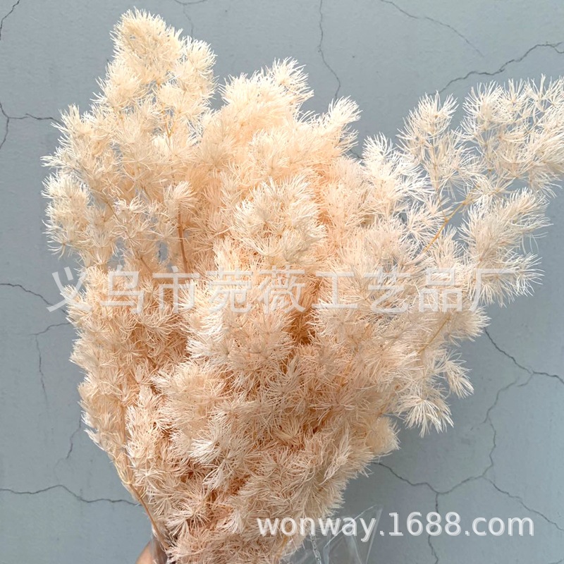 微信图片_20200607223442