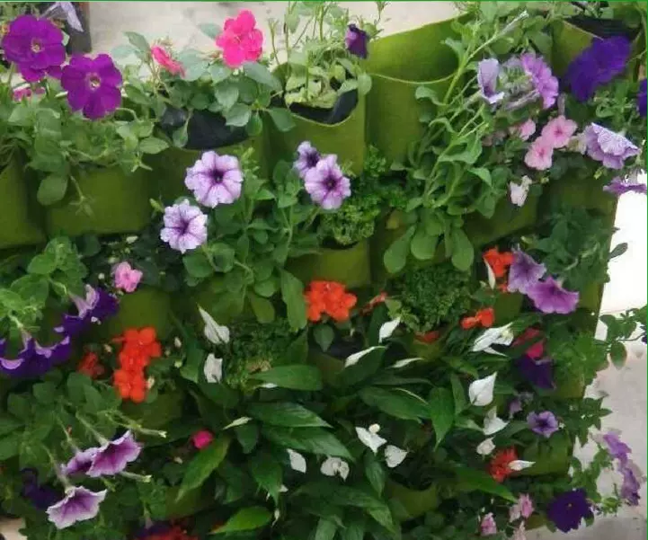 跨境亚马逊毛毡土豆种植袋草莓花盆西红柿花生植物生长袋grow bag