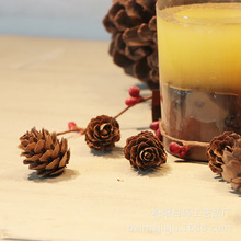 1-2cm��Ȼ�ɹ���������С�ɻ��}�Q�ɹ��b����l���~��DIY�ֹ��b�