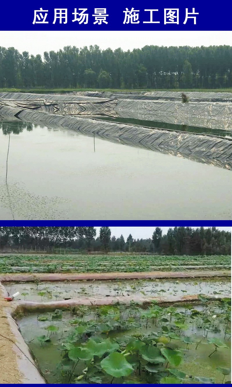 土工膜_10.jpg