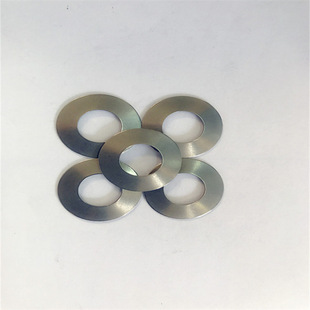 ���P�316L���͏��� DIN2093/GB1972���ε��ɉ|Ƭ�P�Ή|Ȧ