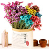 Dry flower wholesale naturally do not forget the self -discipline, Dry Valentine's Day Gifts, Home Resident Flower Architecture Factory Direct Sales