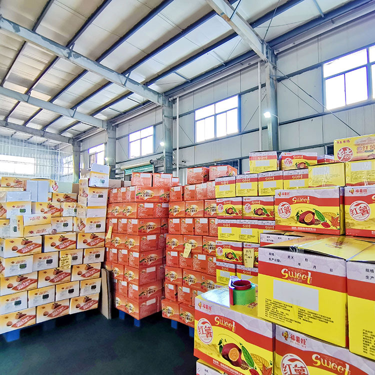 食品批发属于什么行业