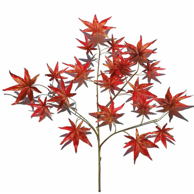 simulation Multicolor Single Maple leaves Root Green plant branch Red Maple Leaf Wedding celebration Jubilation shot background