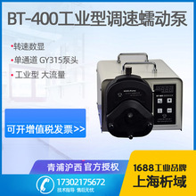 上海青浦滬西BT-400工業型調速恆流泵單通道數顯恆流泵