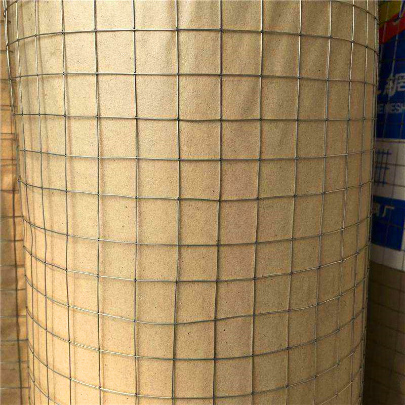 三银动物养殖网 鸡鸭鸽兔养殖网 电焊网安全围栏 1.5米 1.8米高