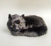 Black realistic animal model, fox, raccoon