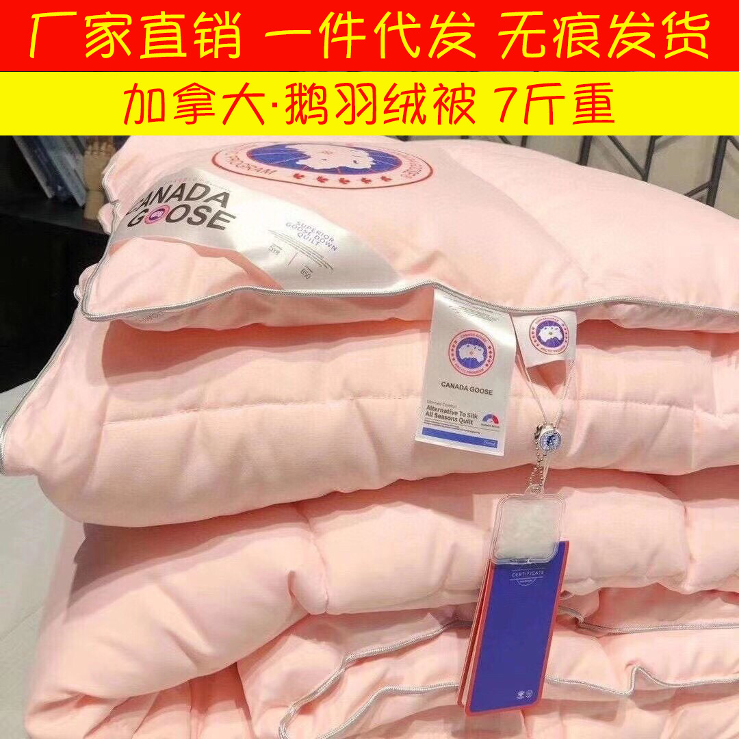 [canada goose Down quilt Explosive money Manufactor Direct selling winter thickening Down quilt On behalf of wholesale