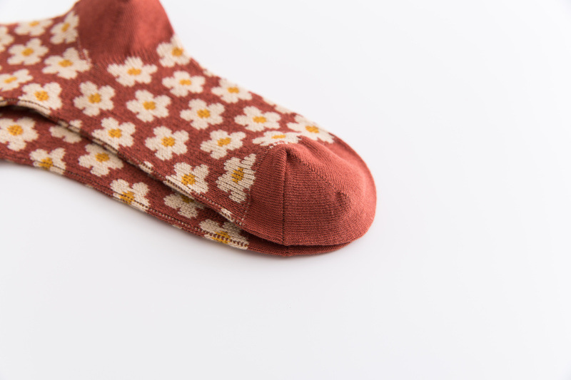 19209436732 502738861