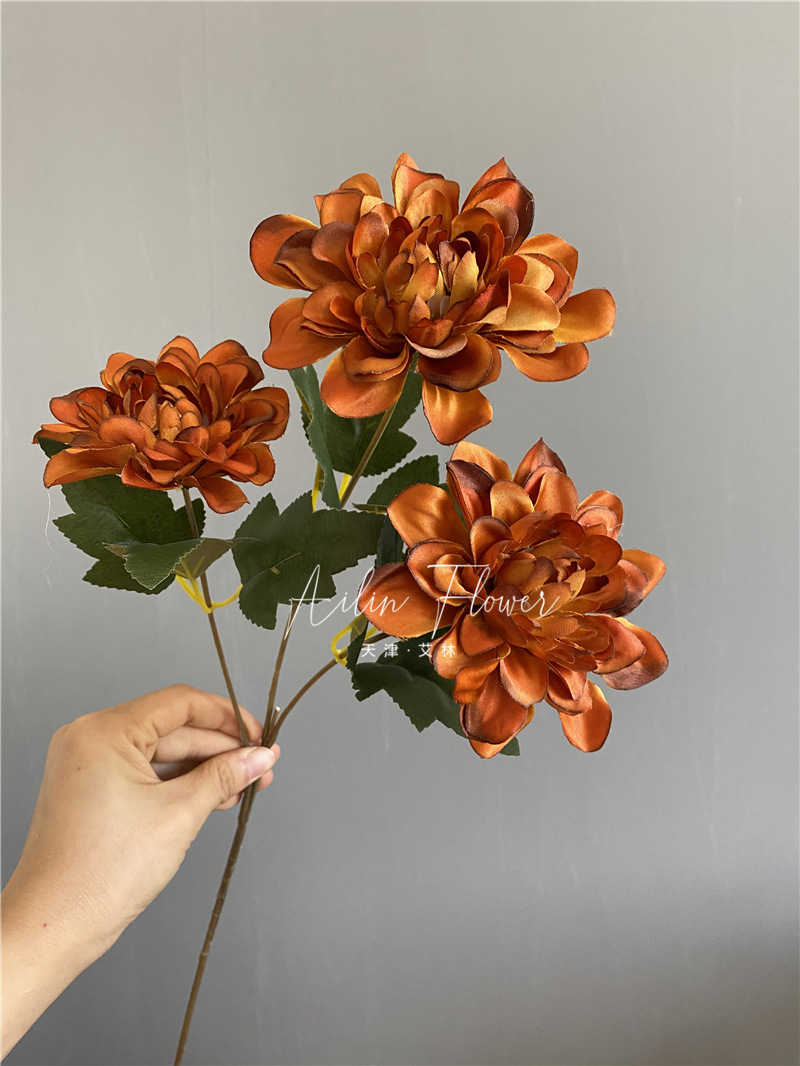 3 autumn colorful flowers