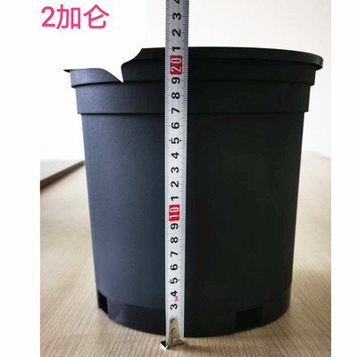 半加侖花盆1 2 加侖塑料黑色育苗盆植物培育苗盆基地種植盆