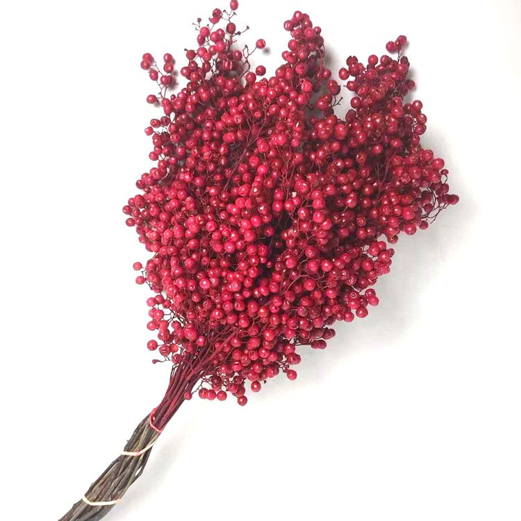 微信图片_20200209024515