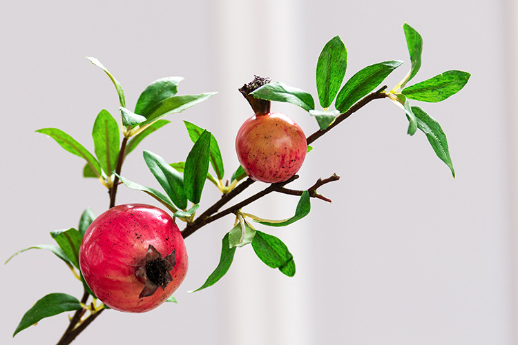 多叶6头石榴 红色_04.jpg