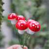 Red jewelry from foam with clove mushrooms, toy with accessories, micro landscape, handmade