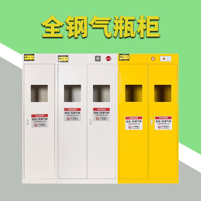 全钢气瓶柜智能加厚带报警单瓶双瓶三瓶氢气氧气液化气存储柜定制