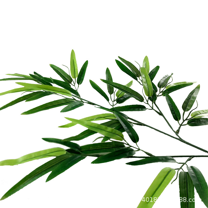 XRB-111 富贵竹叶三叉枝4.jpg