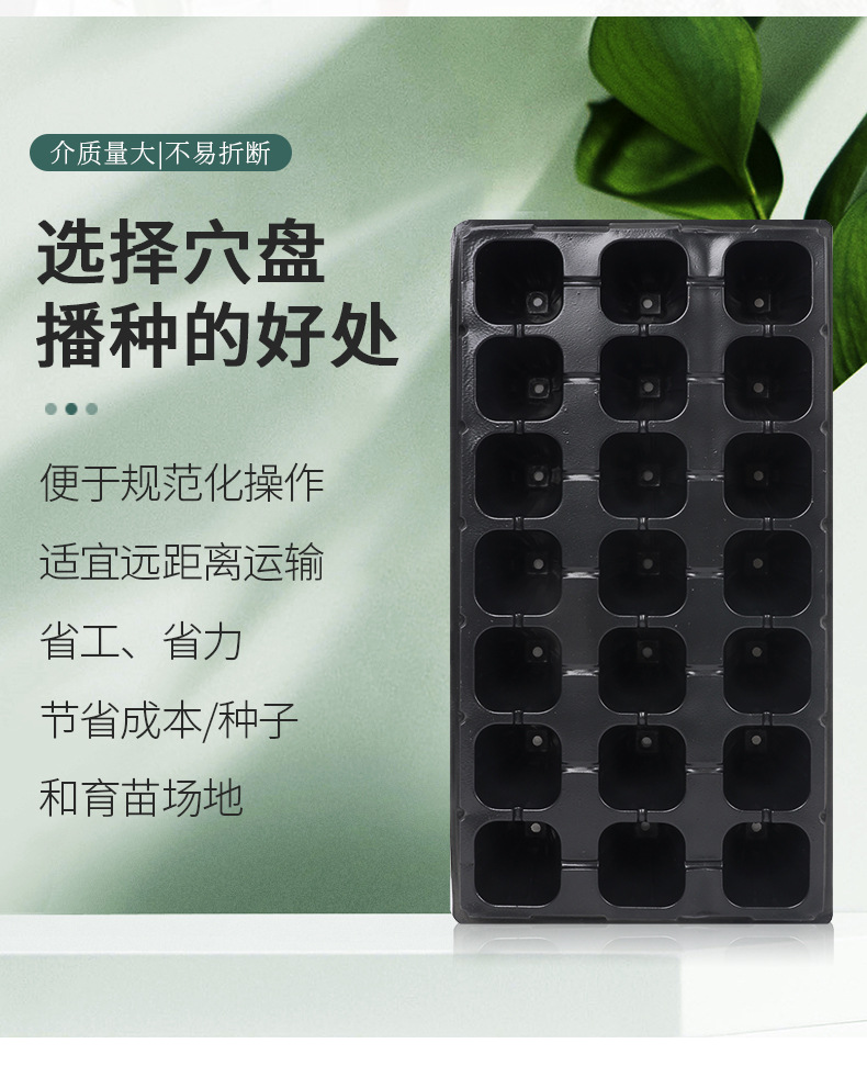 豆芽盘,育苗盘,芽菜盘,育苗穴盘,加厚育苗盘,72孔育苗盘,穴盘