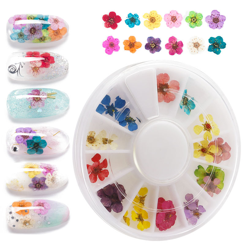 Disco de manicura flor seca 12 color japonés tridimensional natural pequeña flor seca manicura decoración disco pequeña flor seca