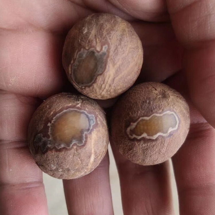 QQ图片20200412080906