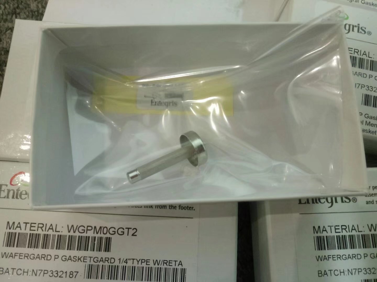 Entegris英特格过滤器DS12-2C-16F-3全新原装