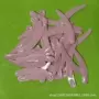 月牙化妆品膏霜勺