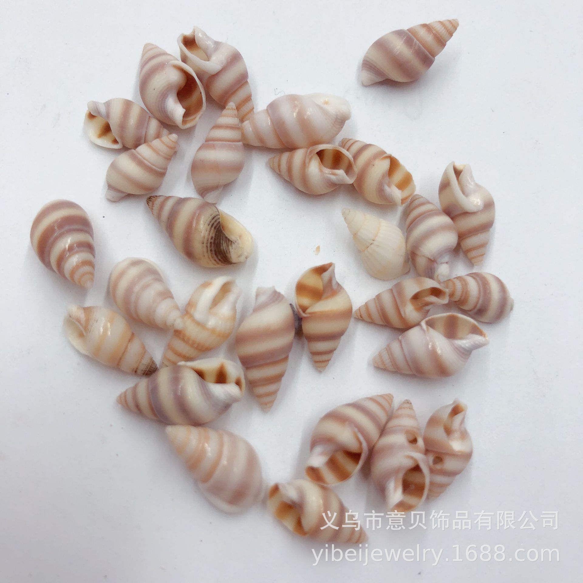 222B68889F6209BBB1D2906FC87516