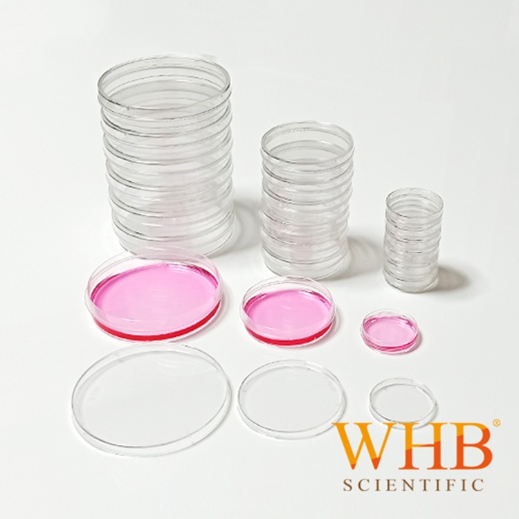 WHB一次性100mm带边细胞培养皿10cm Cell Culture Dishes已灭菌|ms