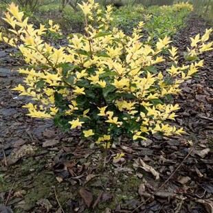 ���ش������۽��Ůؑ��·�G��ͥԺ�Nֲ���~ֲ��