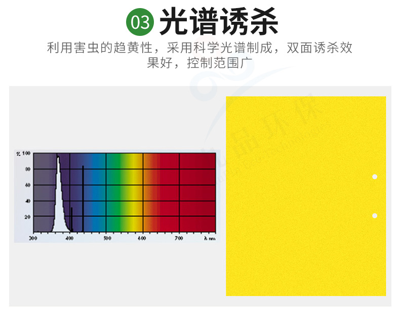双面粘虫板详情_06.jpg