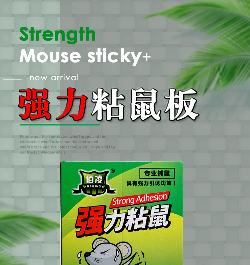 粘鼠板_01.jpg