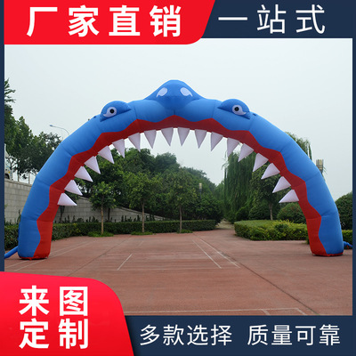 inflation Cartoon Air mold Dolphin arch Shark Caigongmen The opening celebration 8 m 10 rice