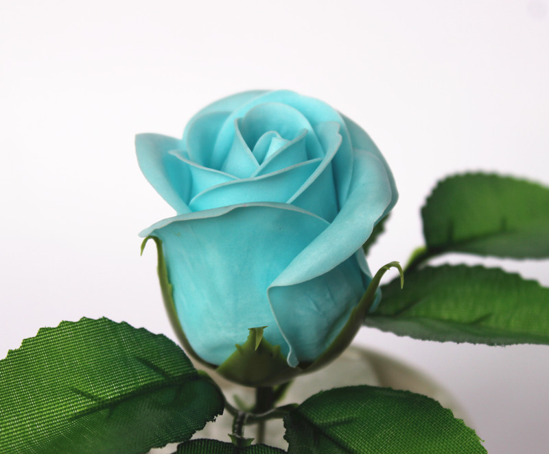 一键复制_20200227134217