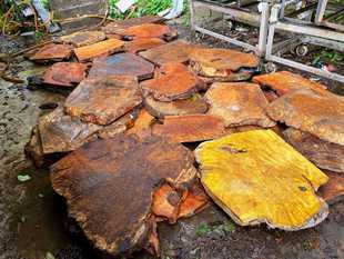 �S���N�� �t��������Ҿ߲�Pë��ԭ���ϰ`ľ�tɫɽ���