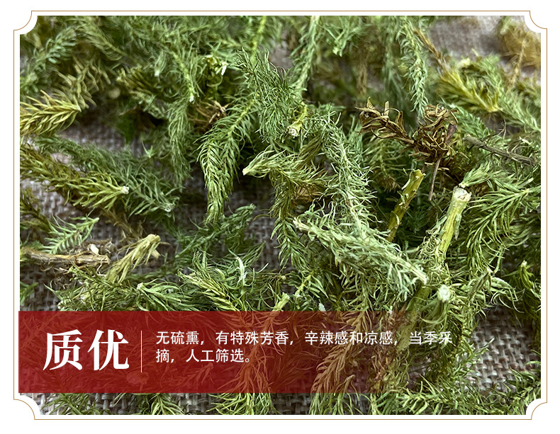 Shen Jin Cao (Lycopodium clavatum) — Dried Food Herb for Decoction & Soup in use