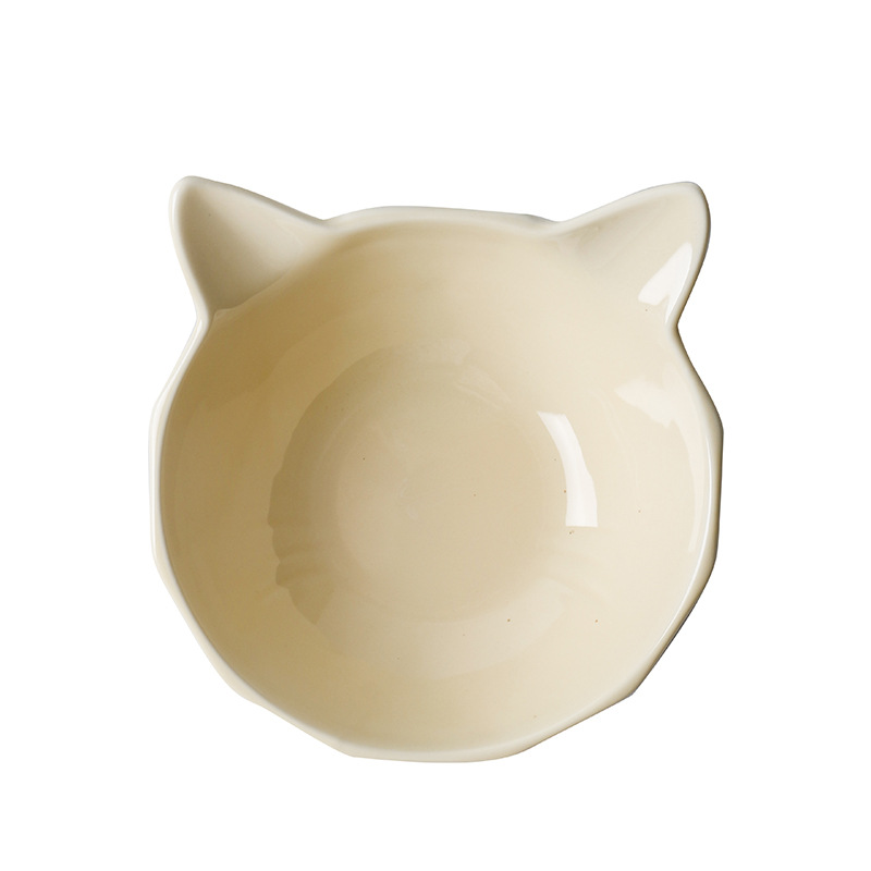 黄猫.jpg