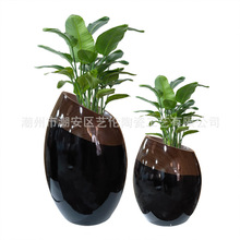 б��ɰ��ľ�y�������ش�ƿ�����ɻ��廨�[���͏d�Ƶ��b�Ʒ